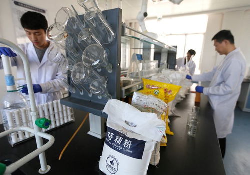 吉林省檢測(cè)服務(wù)公司優(yōu)秀企業(yè)推薦公示 信任的重量，源于每一次堅(jiān)守