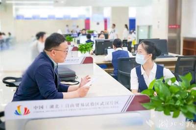 光谷率先設立全國首個低空經濟服務窗口，提供專業(yè)經濟信息咨詢